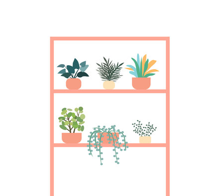 Decorative plants stand on the shelf, a vector graphicsのイラスト素材