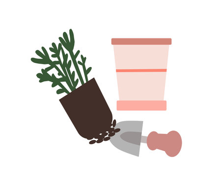 Plant transplanted into another pot, a vector chartのイラスト素材