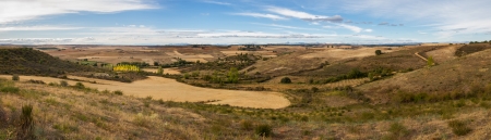 Panoramic landscape with rolling hills dry, cereal crops, trees, autumn poplar plantation, dirt roads and blue sky with clouds  Valduvieco  Mellanzos  Leon  Spain の写真素材