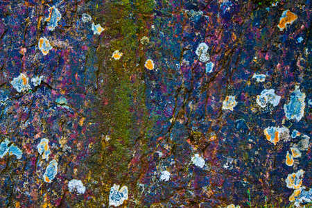 Texture or background of stone or rock with mosses and lichens and saturated colors の写真素材