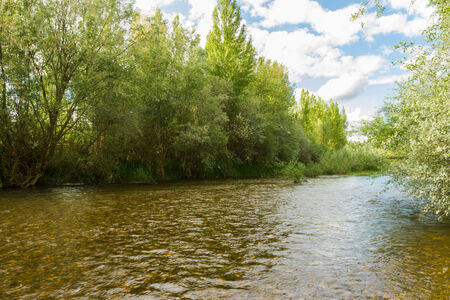River with willows and poplars on either side in spring and pollen rain   Torio River   Leon   Spain の写真素材