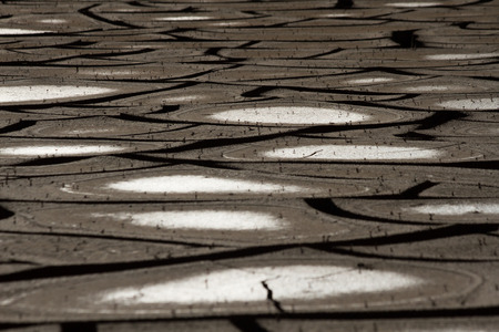 Miniature landscape. Small outbreaks deserted vegetable soil, arid and cracked by droughtの写真素材