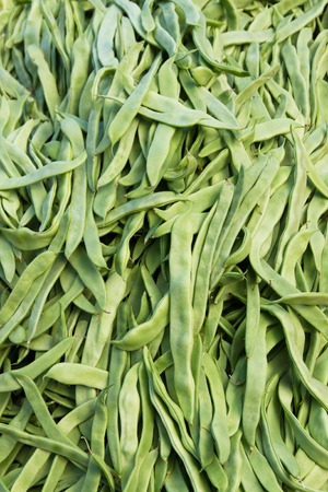 Green beans in bulk in displaying for sale on the marketの写真素材