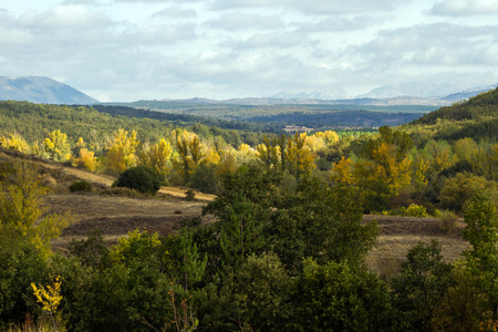 Panoramic view of beautiful rolling autumn landscape with forests of oaks, pines and poplars. Wide visibility that reveals the background mountains - Vista panoramica de bonito paisaje ondulado de otoÃ±o con bosques de robles, pinos y chopos. Amplia visibの写真素材