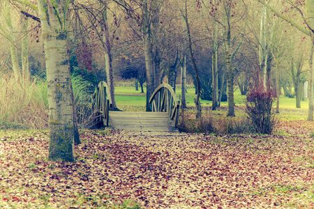 Wooden bridge in autumnal park with a mantle of fallen leaves on the ground. With photographic treatment in retro colors and clear tones bulletの写真素材