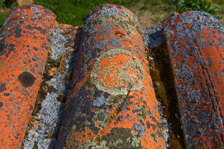 Old tiles detail wavy eaves, full of lichens and mossesの写真素材