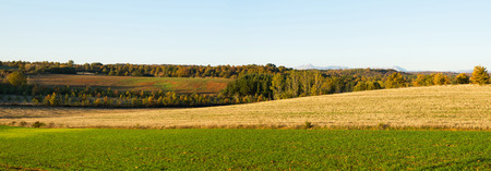 Panoramic view of autumn landscape with cultivated lands in the foreground and groves, oak and pine forests and mountains in the background on the plane lastの写真素材