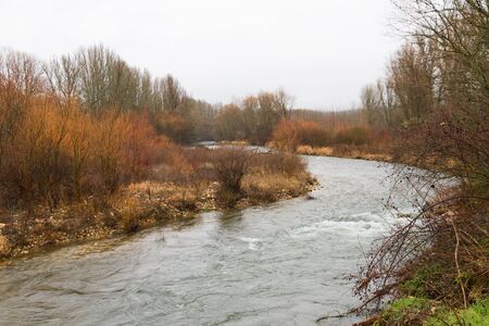 River surrounded by greenery and trees a cloudy winter day