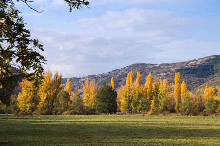 Meadow surrounded by autumnal grove and mountains in the background