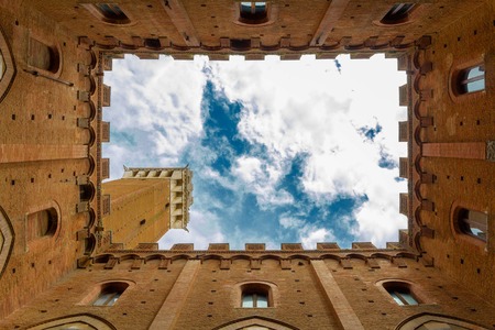 view to old tower from palaces garden in Tuscany