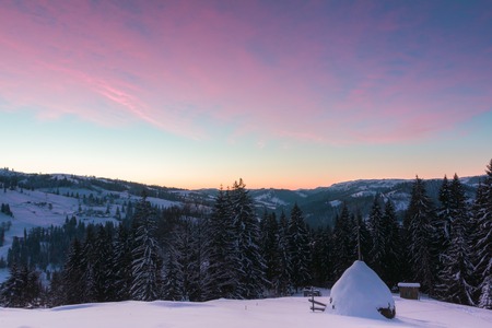 From the lawn, covered with snow, with stack in snow, a panoramic view of the covered with frost trees, steep mountains, an interesting sunrise with a pink sky.の写真素材