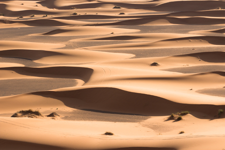 big dune with steps and blue sky after sunrise in Saharaの写真素材