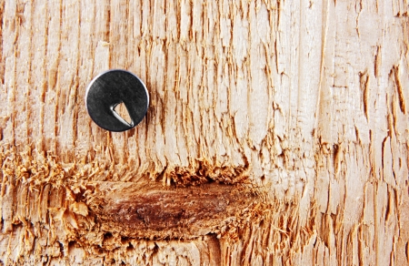 metal pushpin stuck in the wooden board with an embossed texture の写真素材