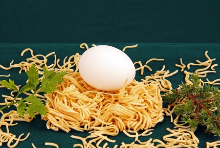 vermicelli in a birdの写真素材