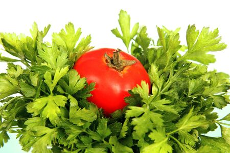 red ripe tomato in a beam of green parsley, white background.の写真素材