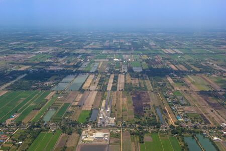 Paddy field