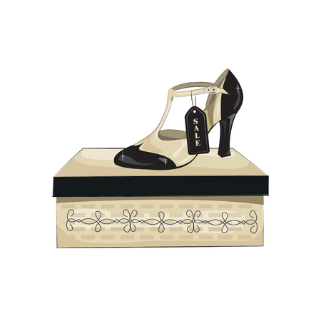 Elegant women's shoes on the box. Vector illustration, isolated on white background.のイラスト素材