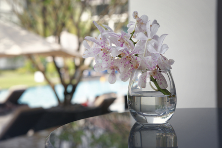a white orchid glass vase put on a table near by a pool in resortの写真素材