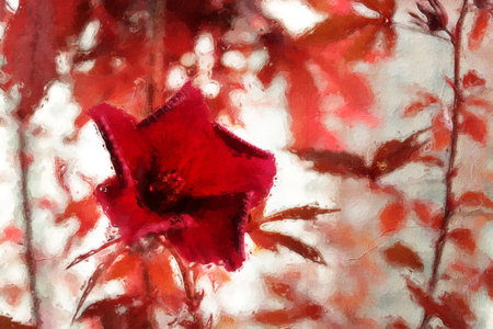 A brooming Cranberry hibiscus from re-touching look like oil painting on canvas frameの写真素材