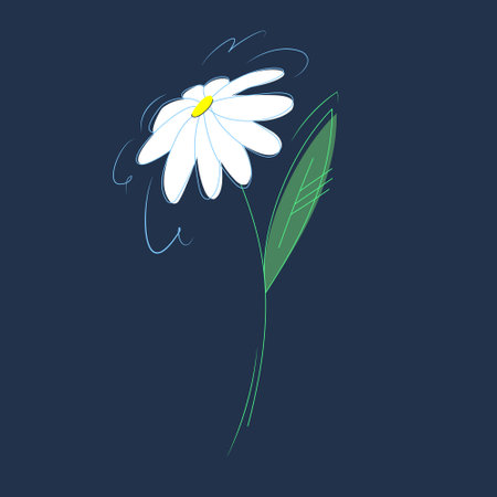 Beautiful vector minimalistic flower. Chamomile on a dark background. Elegant lines of movement of the petals.のイラスト素材