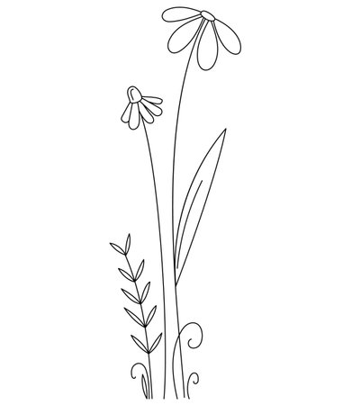 Vector linear hand drawn flower bush. Beautiful floral background for postcards, congratulations, invitations. Gentle, spring meadow.のイラスト素材