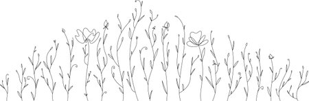 Vector abstract linear field. Flower grass in a clearing with small leaves.のイラスト素材