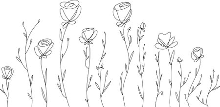 vector linear field. Flower meadow with open fluffy buds and growing leaves.のイラスト素材