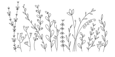 Hand drawn vector linear glade of tall grass. Beautiful floral background for postcards, congratulations, invitations. Gentle, spring meadow. Abstract flowers, plants, grass for coloring and designのイラスト素材