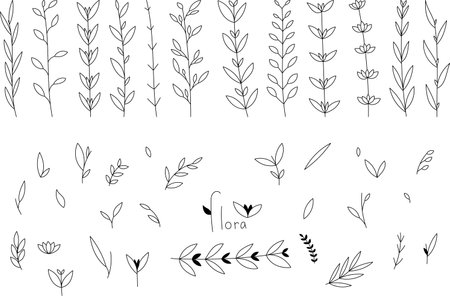 Leaf vector elements. Different variants of spring branches with leavesのイラスト素材