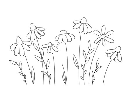 Vector romantic card with single line drawn flowers, roses. Postcard with love, for coloring, compliment. Invitation, congratulations, recognition.のイラスト素材