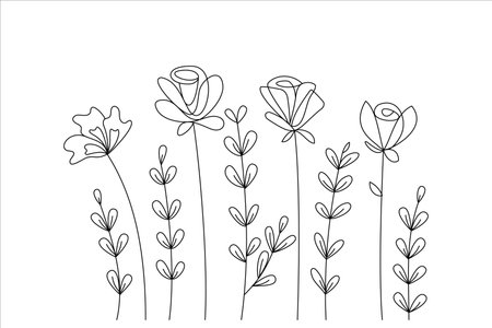Vector linear abstract flowers, lush fresh buds. Tall grass with voluminous leaves. Floral design for postcards, congratulations. Adjustable stroke thicknessのイラスト素材
