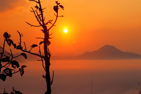 Morning Mountain Mistの写真素材