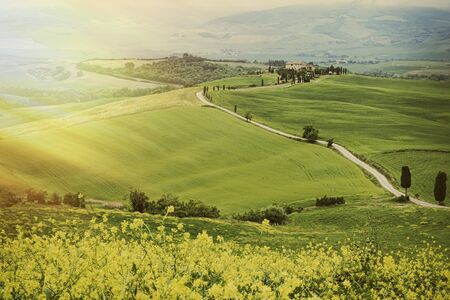 Fields, meadows and agrotourism in the beautiful Tuscany.の写真素材