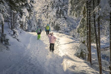 Family walk on the beautiful winter day. A walk in the park. Family enjoying outdoor activities.の写真素材
