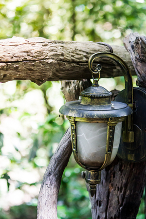 Lanternの写真素材