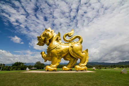 The Lionの写真素材