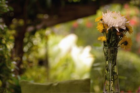 Multicolored gerbera flowers in a glass vase on the tableの写真素材