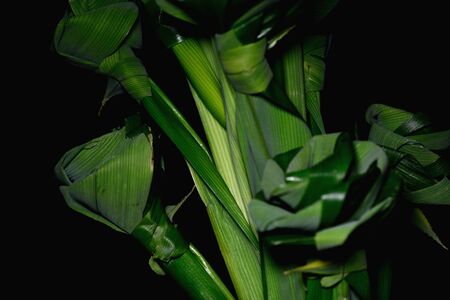 Bouquet of roses flowers handmade from folded fragrant pandan leaves, isolated on black backgroundの写真素材