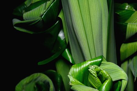 Bouquet of roses flowers handmade from folded fragrant pandan leaves, isolated on black backgroundの写真素材