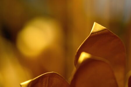Golden metal flower, selective focus. Eternal beautyの写真素材
