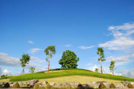 Nature view landscape at royal park Rajapruek, Chiang Mai, Thailand.