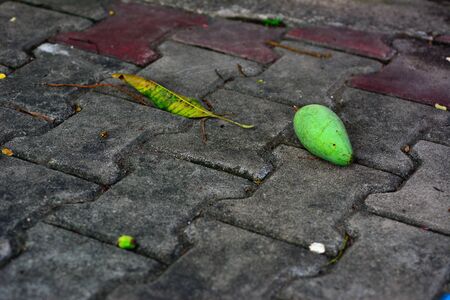 Mango on concrete block, abstract background.