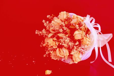 bouquet dried flowers on red background.の写真素材