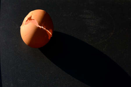 Chicken egg shell isolated on dark background.