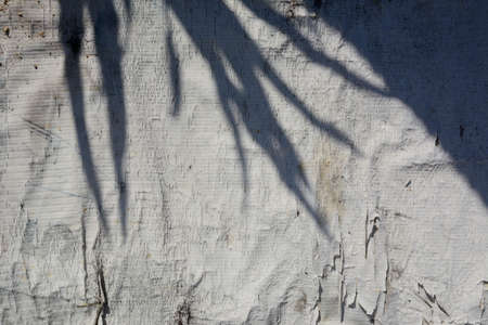 Tropical leaves natural shadow on dirty old vinyl banners background.の写真素材