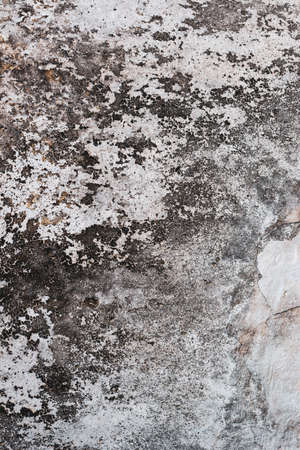 Empty old concrete wall texture for background with copy space.の写真素材