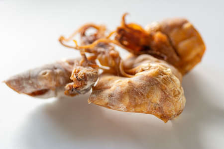 Grilled dried squid isolated on white background.