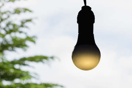 LED electric bulb on natural blurred background.の写真素材