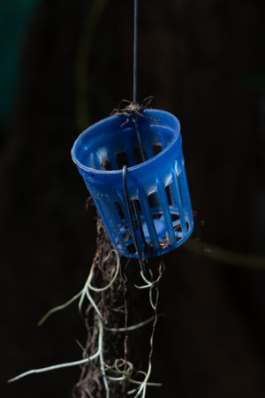 Small blue plastic planter basket for hanging on natural low light background.