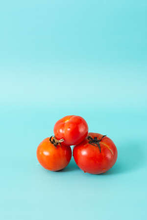 Fresh tomatoes isolated on blue background.の写真素材